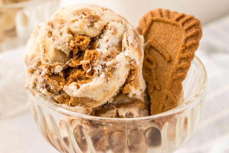 Butterscotch Cookie Cake Ice Cream